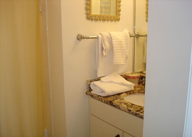 Guest bathroom