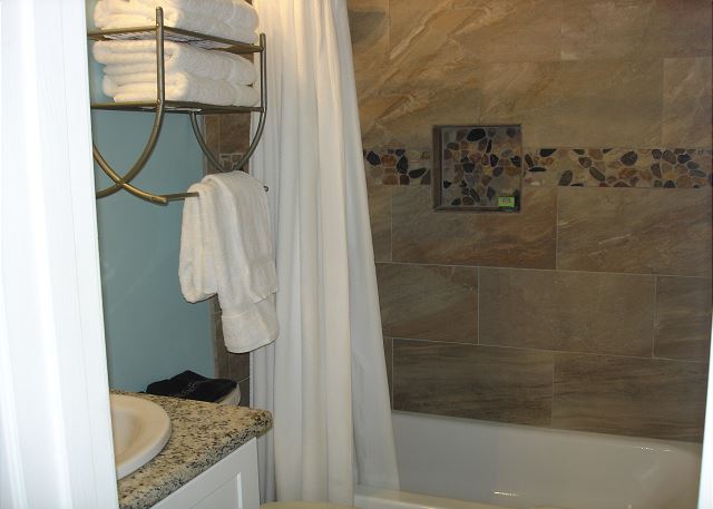 Guest bathroom