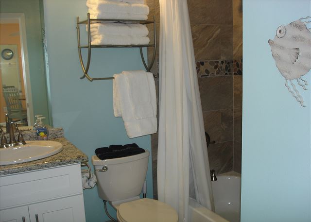 Guest bath tub/shower