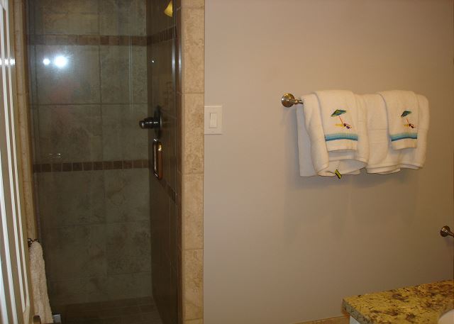 Adjoining guest bathroom