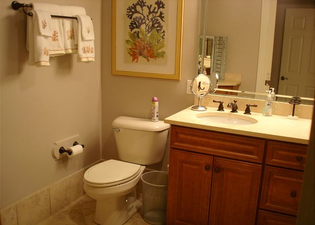 Master bathroom