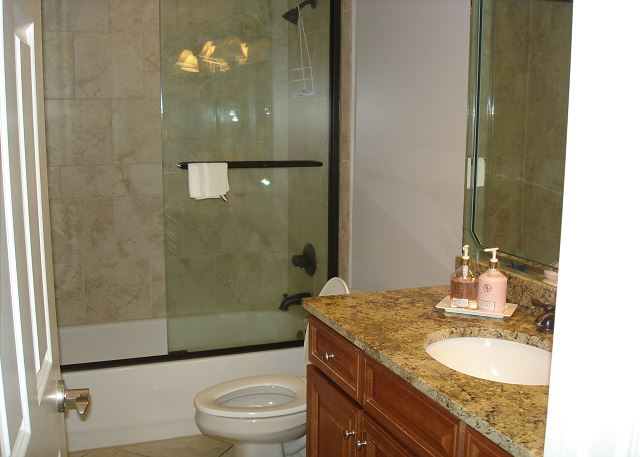 Guest bathroom