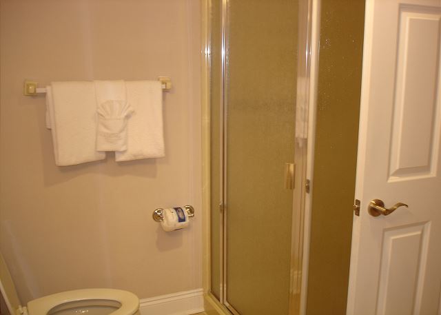 Master shower