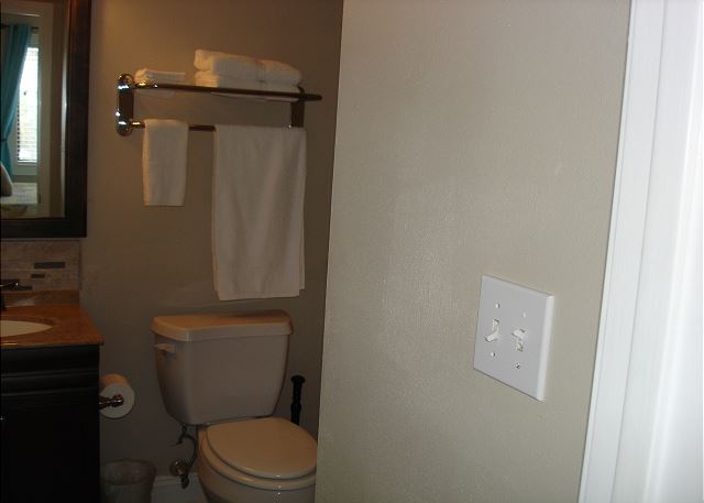 Master bathroom