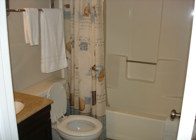 Guest bathroom tub/shower