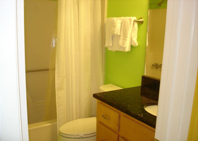 Guest bathroom