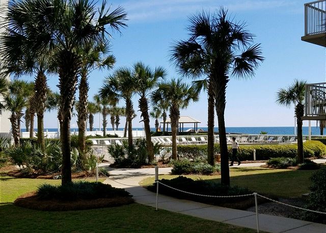 View of the beachfront
