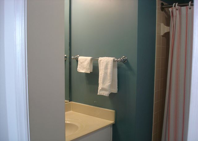 Guest bathroom