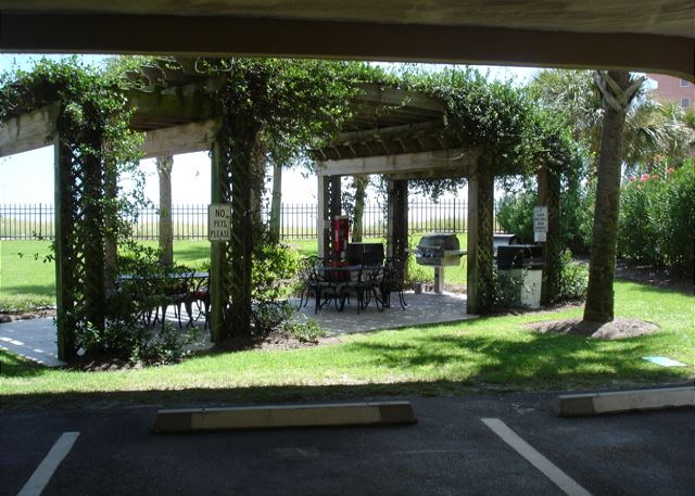 Grill area for guest use
