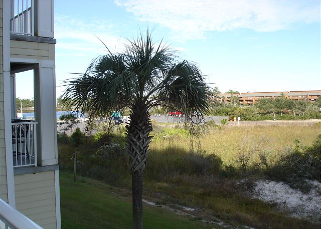 View of Cotton Bayou