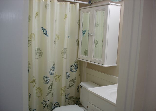 Guest bathroom