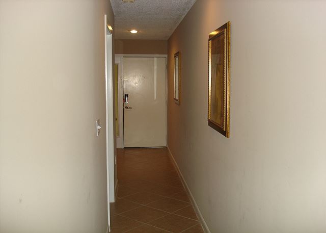 Entrance door & hall of the unit