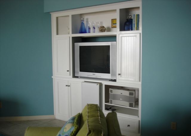Living room tv