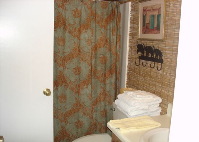 Hall/guest bathroom