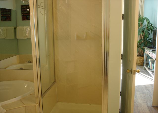 Master shower & garden tub