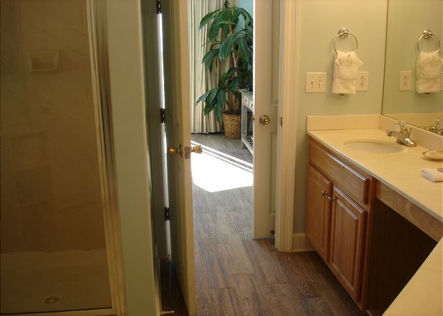 Adjoining master bathroom