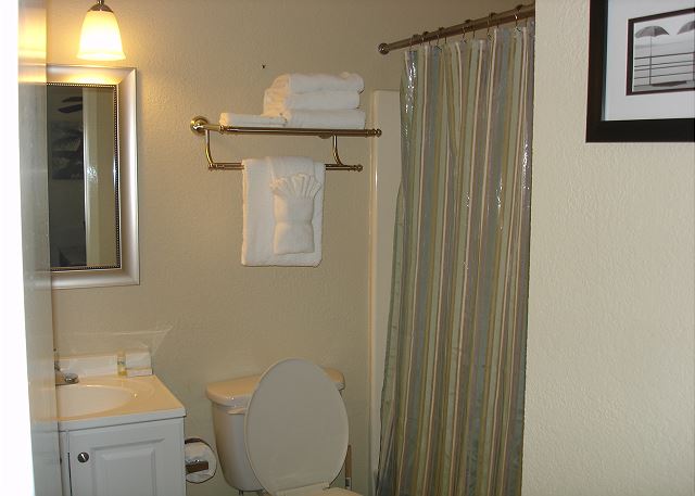 Guest bathroom