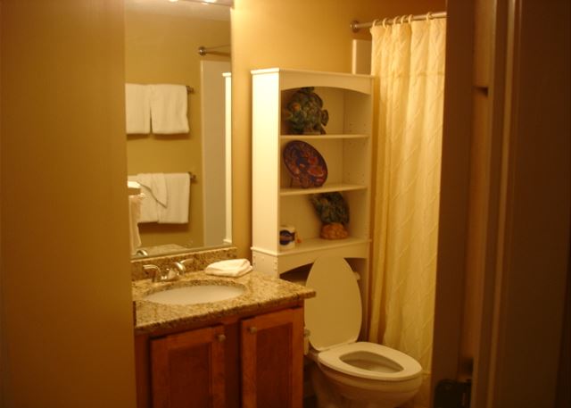 Guest bathroom