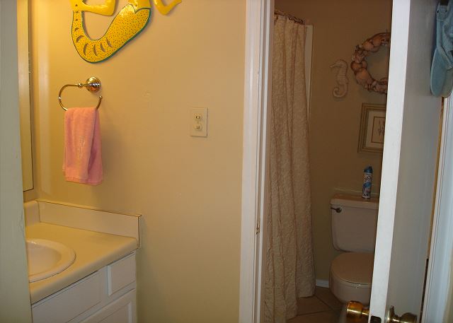 Adjoining master bath
