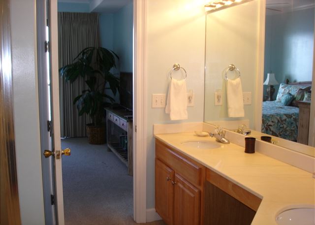Looking into master bedroom