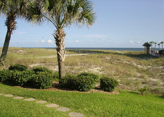 View from the patio