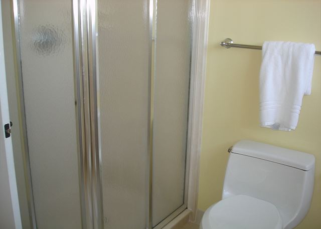 Master shower
