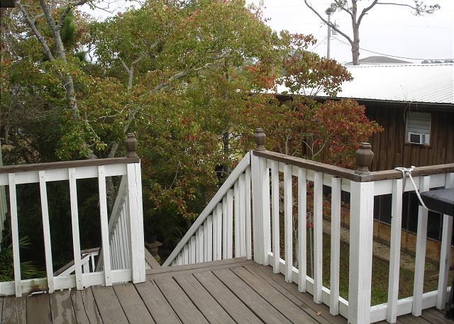 Back steps