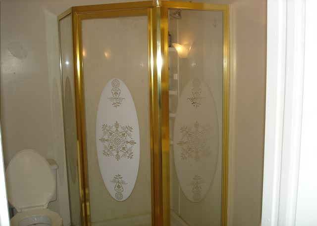 Guest bathroom with shower