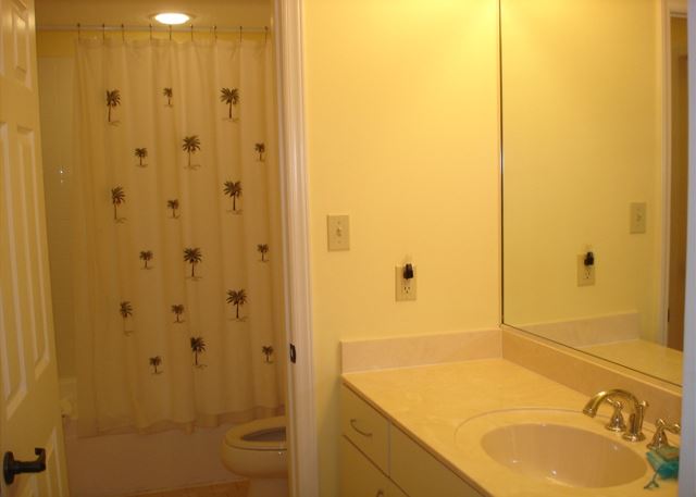 Adjoining and hall bath
