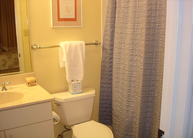 Guest tub area