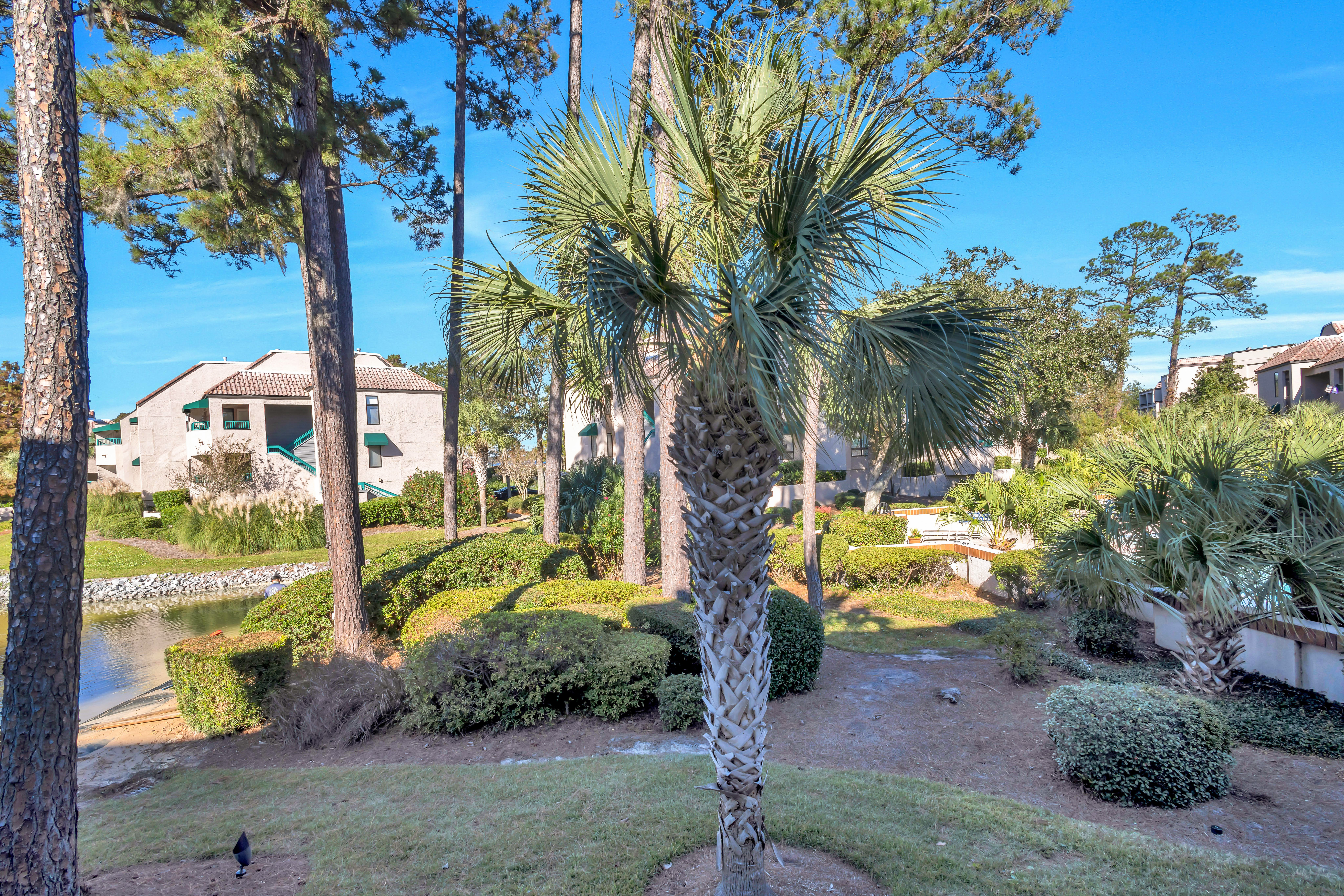Gorgeous Views from the Villa - Bright & Tropical