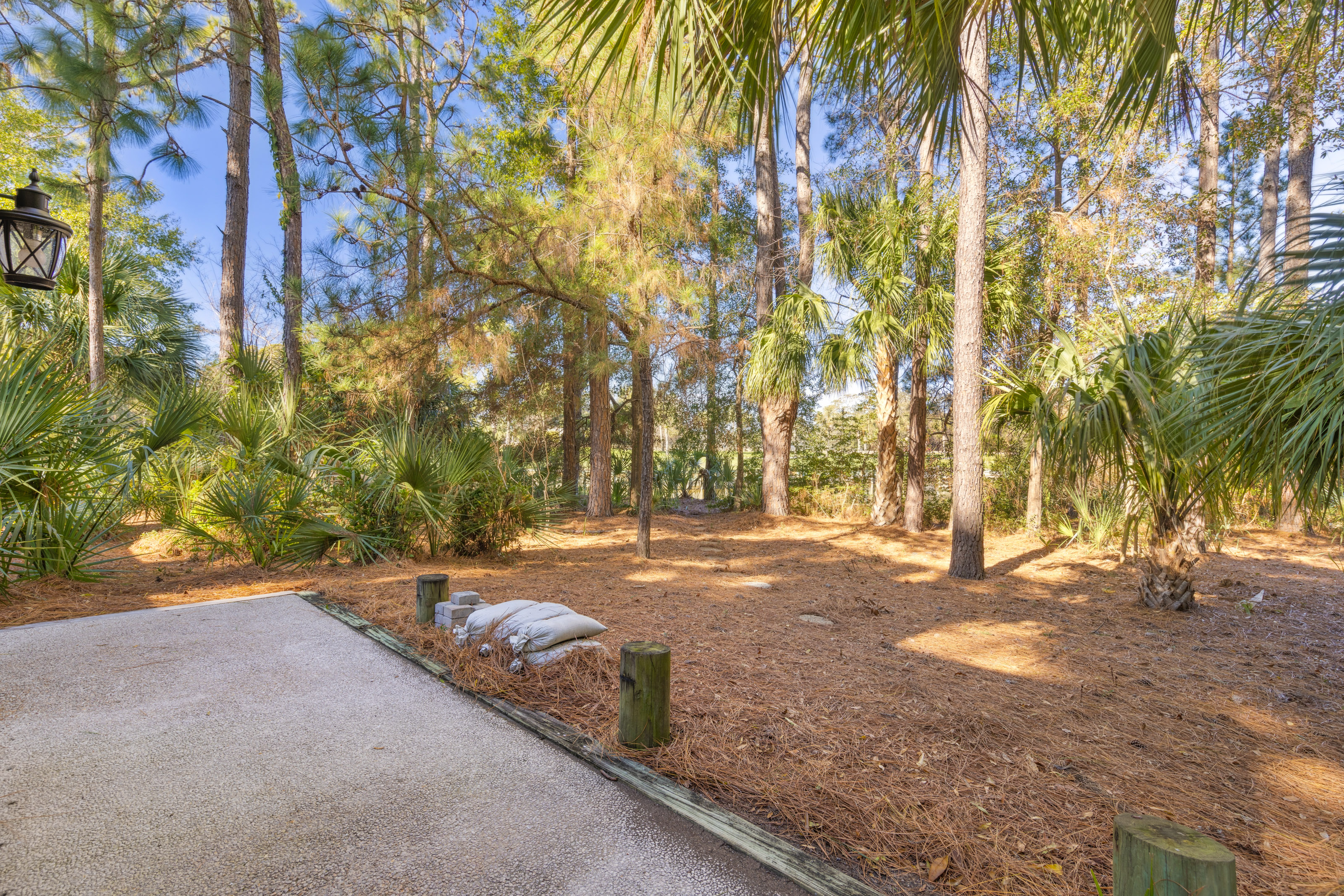 Connect with The Nature