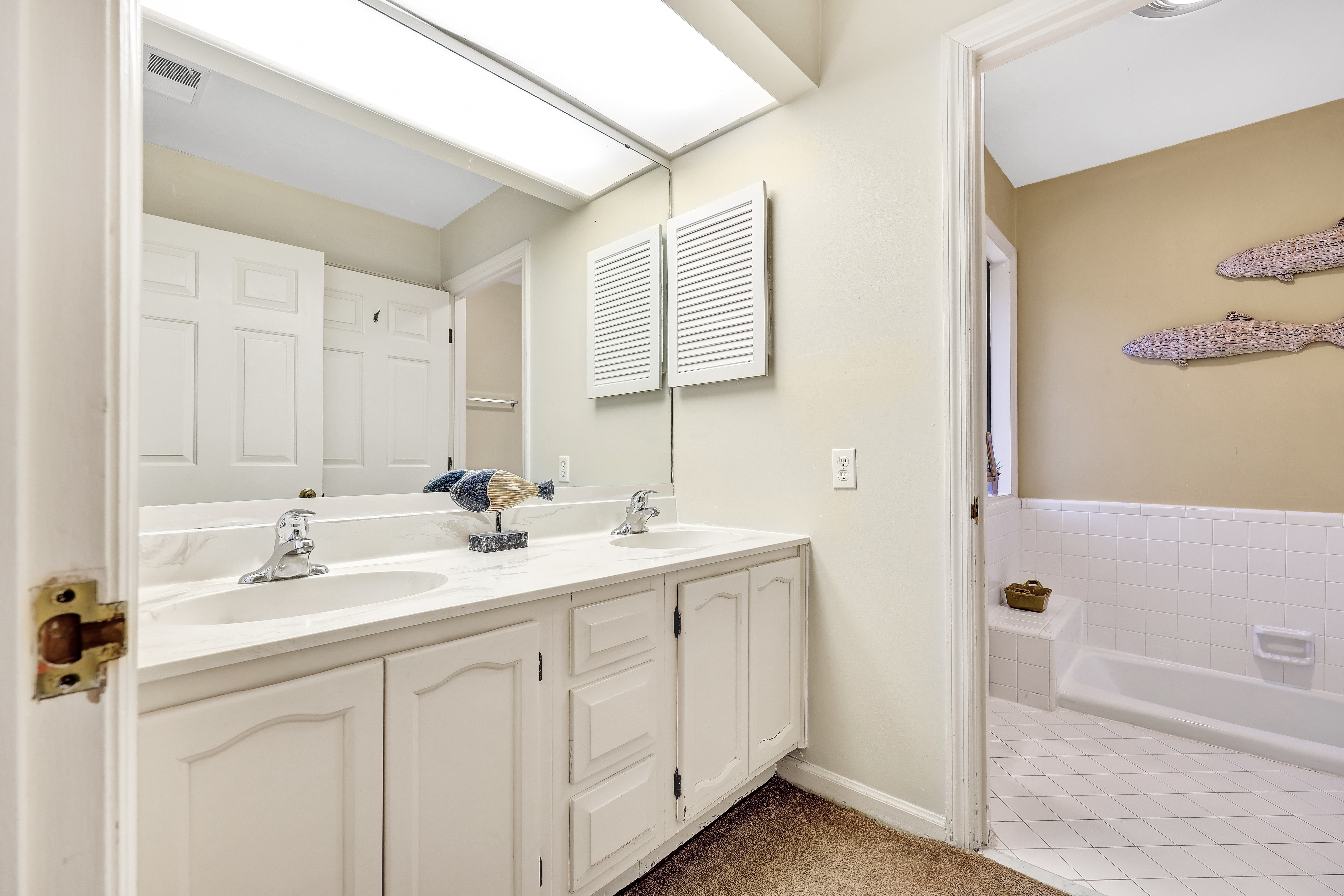 Swim with the Fishies