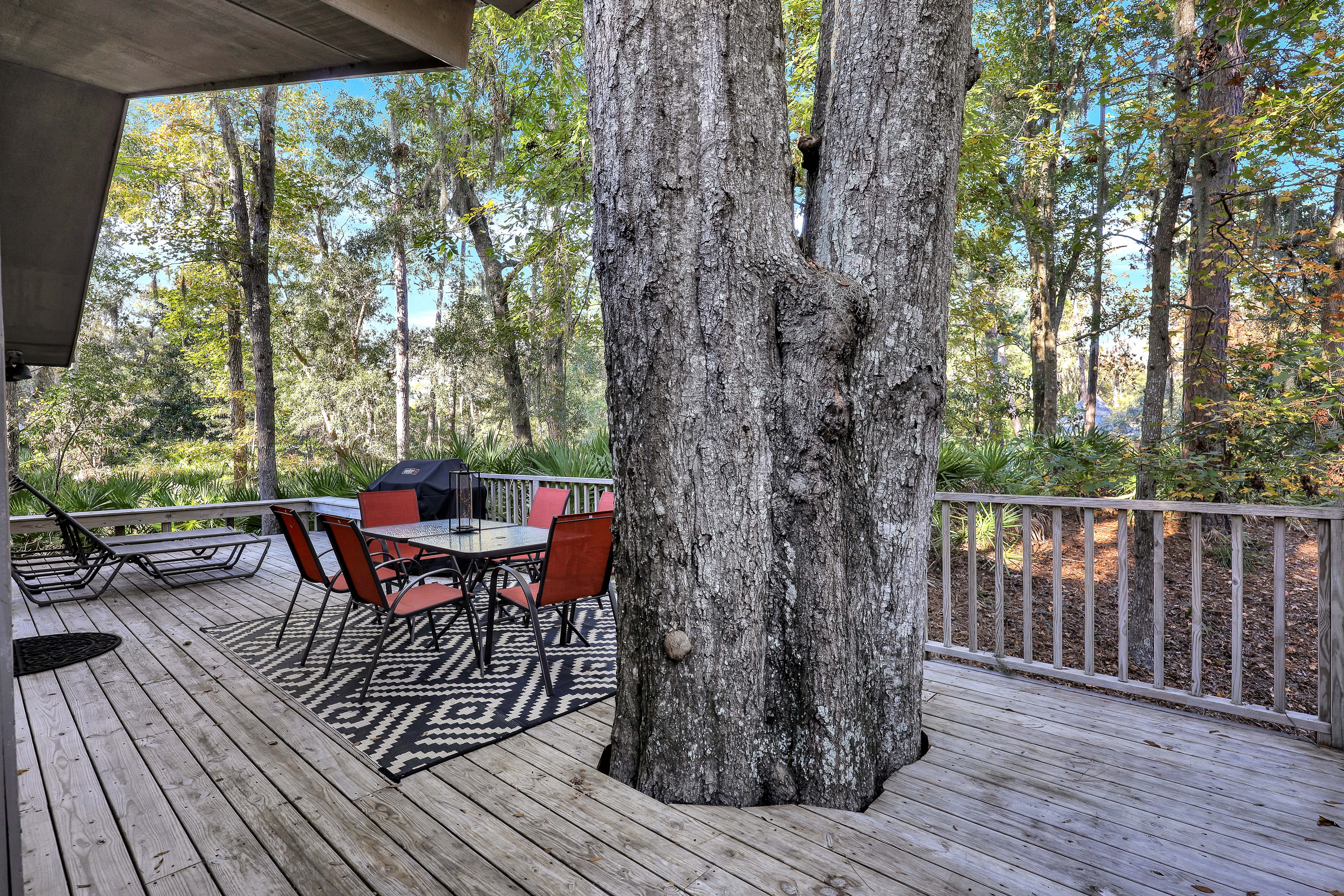 Morning Coffee With a View