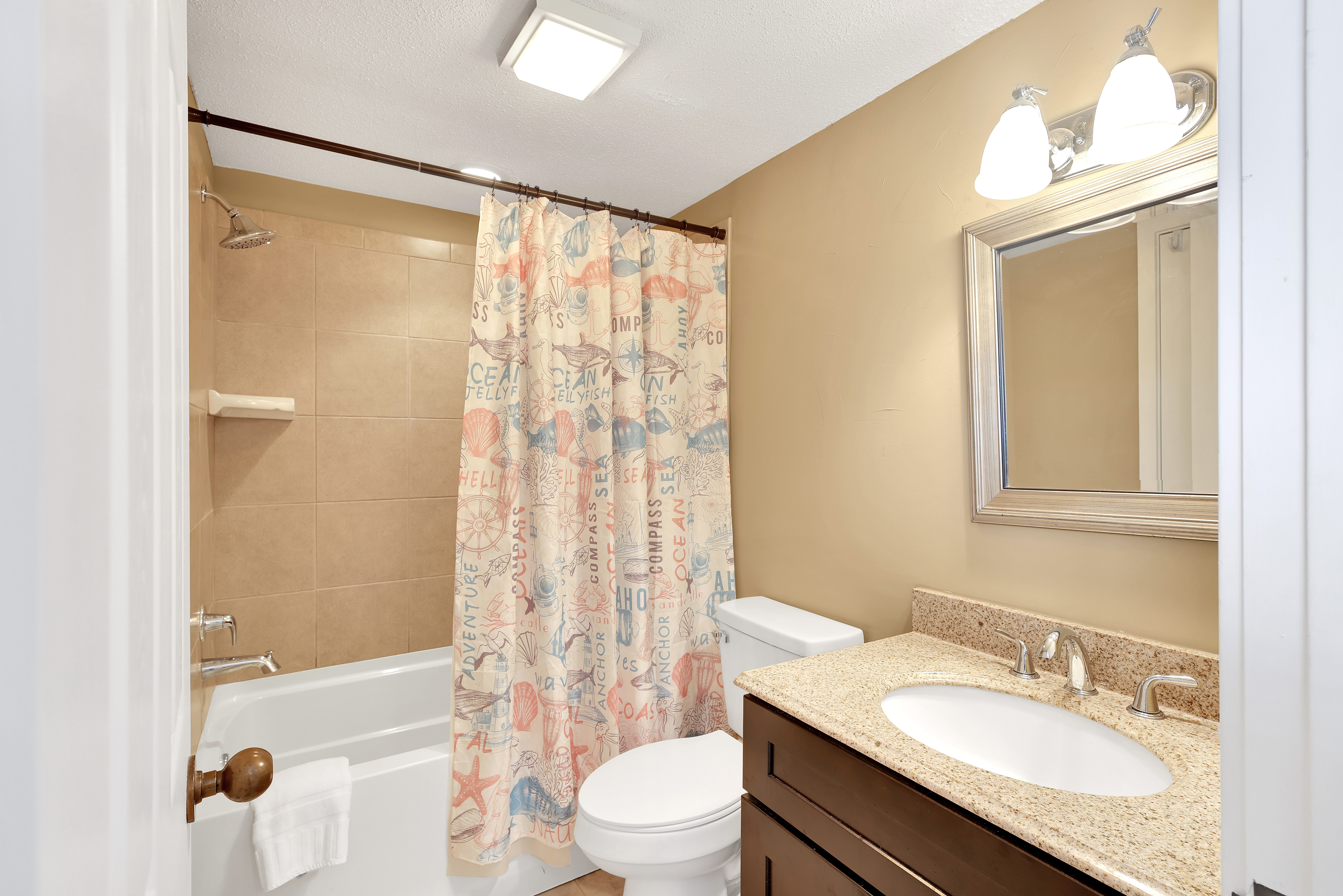 Creams & Corals to Get Ready for the Beach