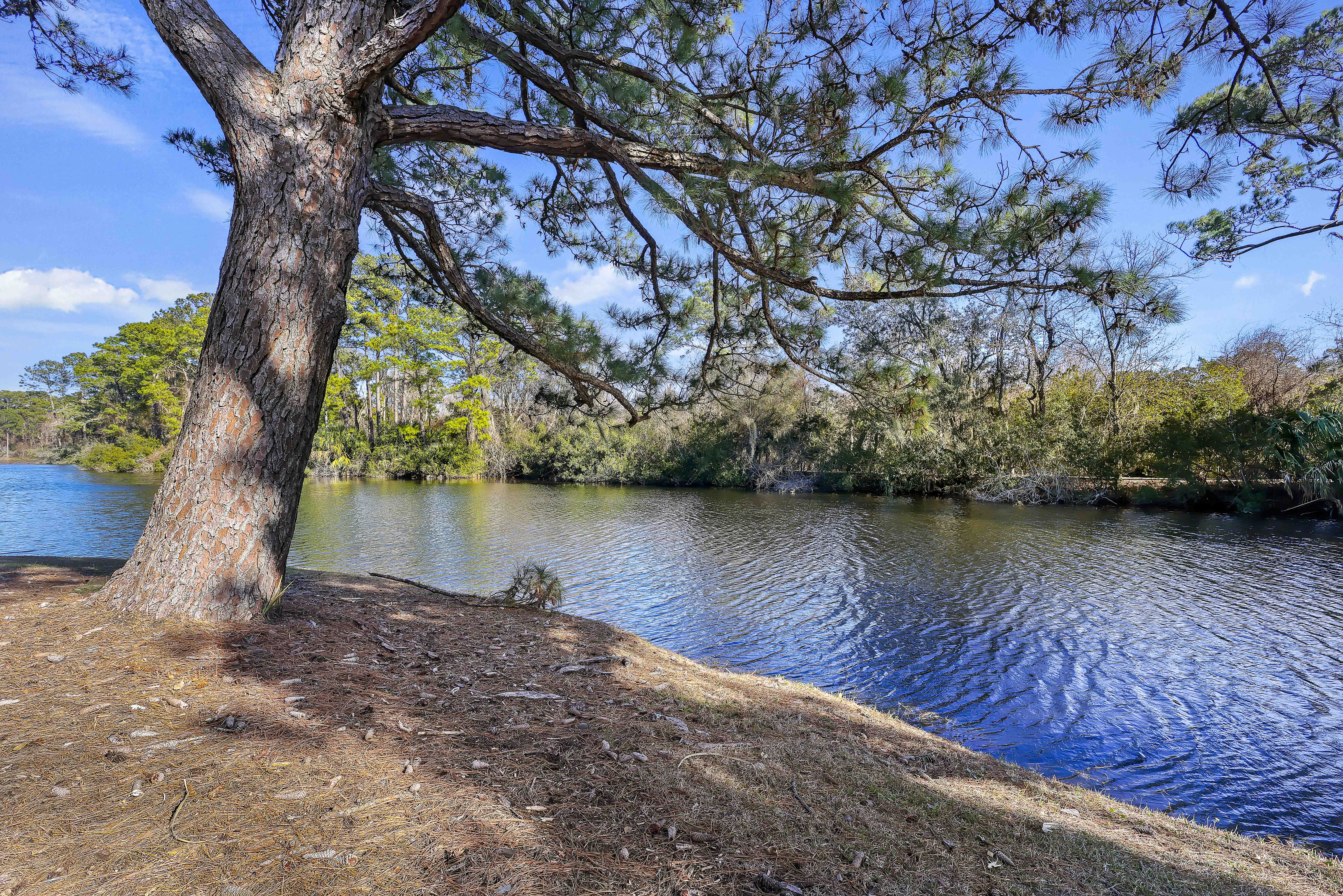 A Lagoon at Your Fingertips