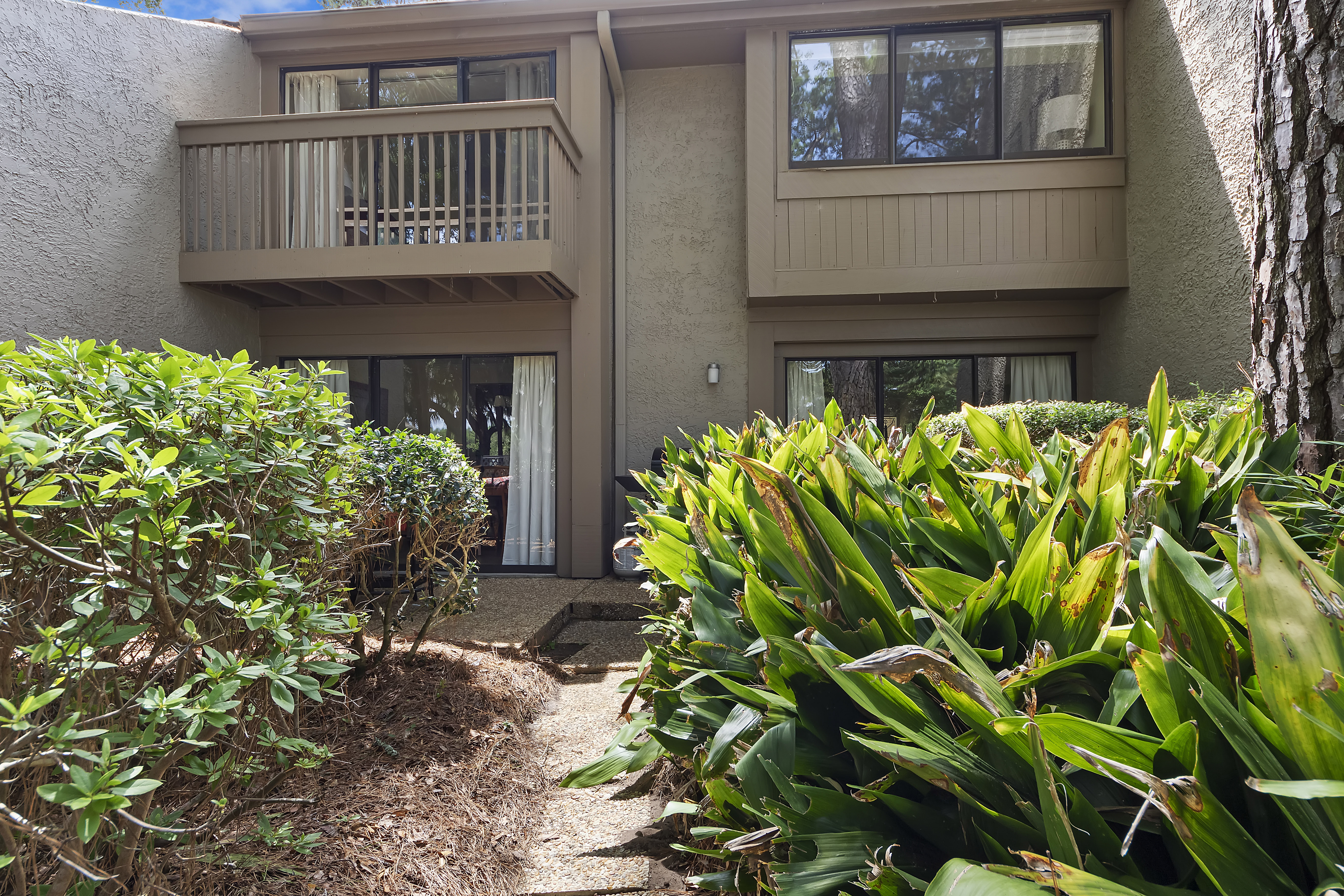 Backyard View of the Villa