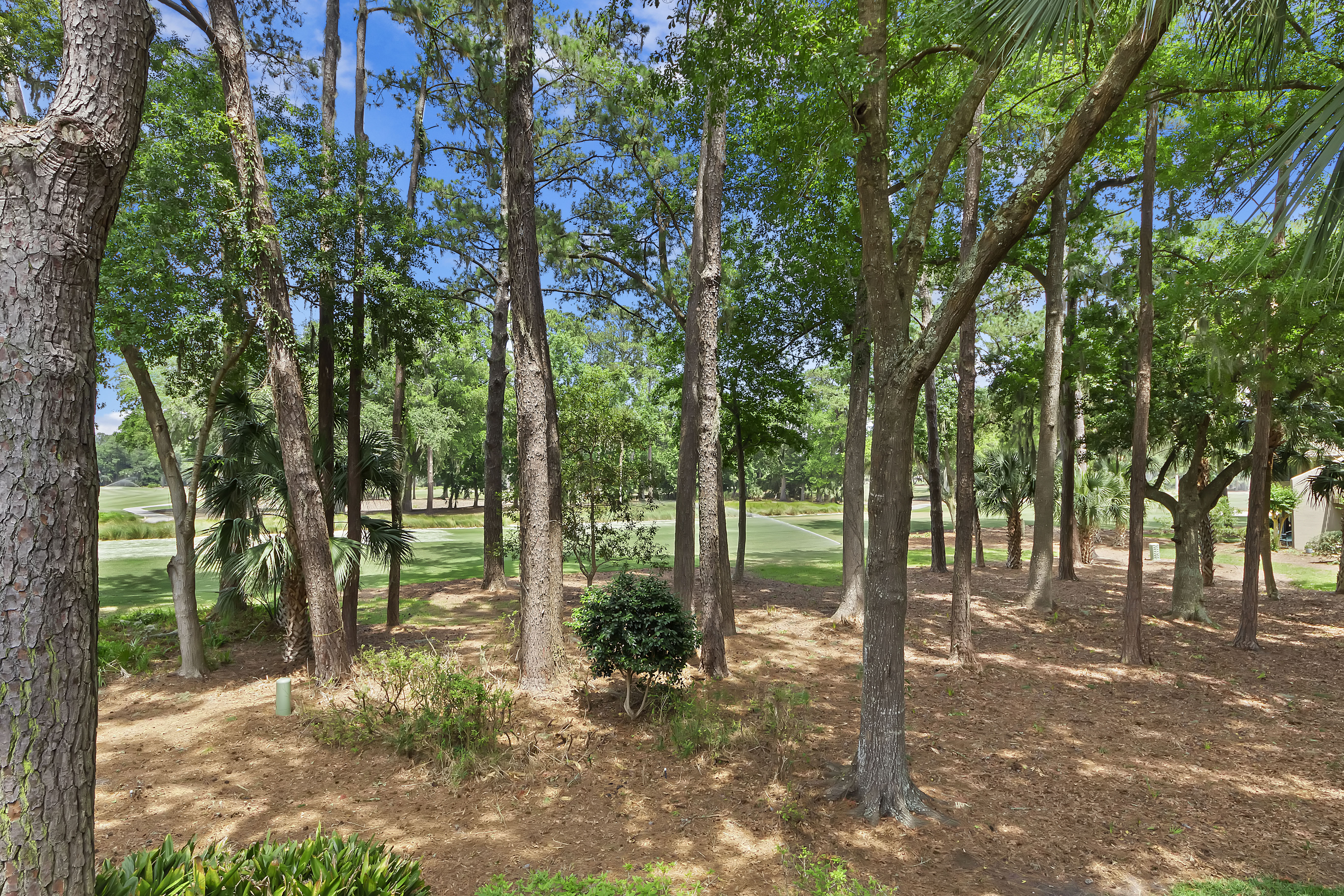 Reconnect with Nature