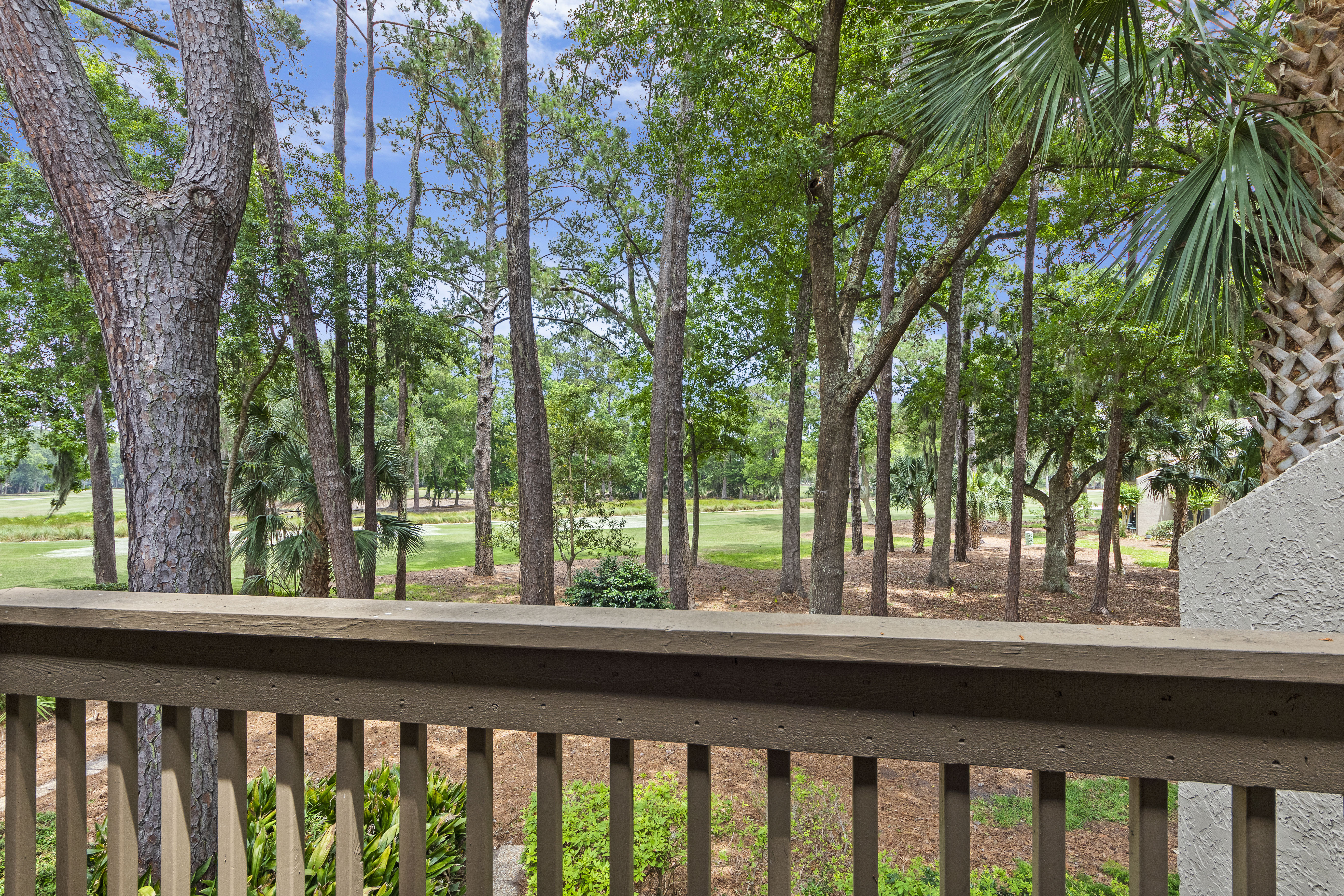 View from the Balcony