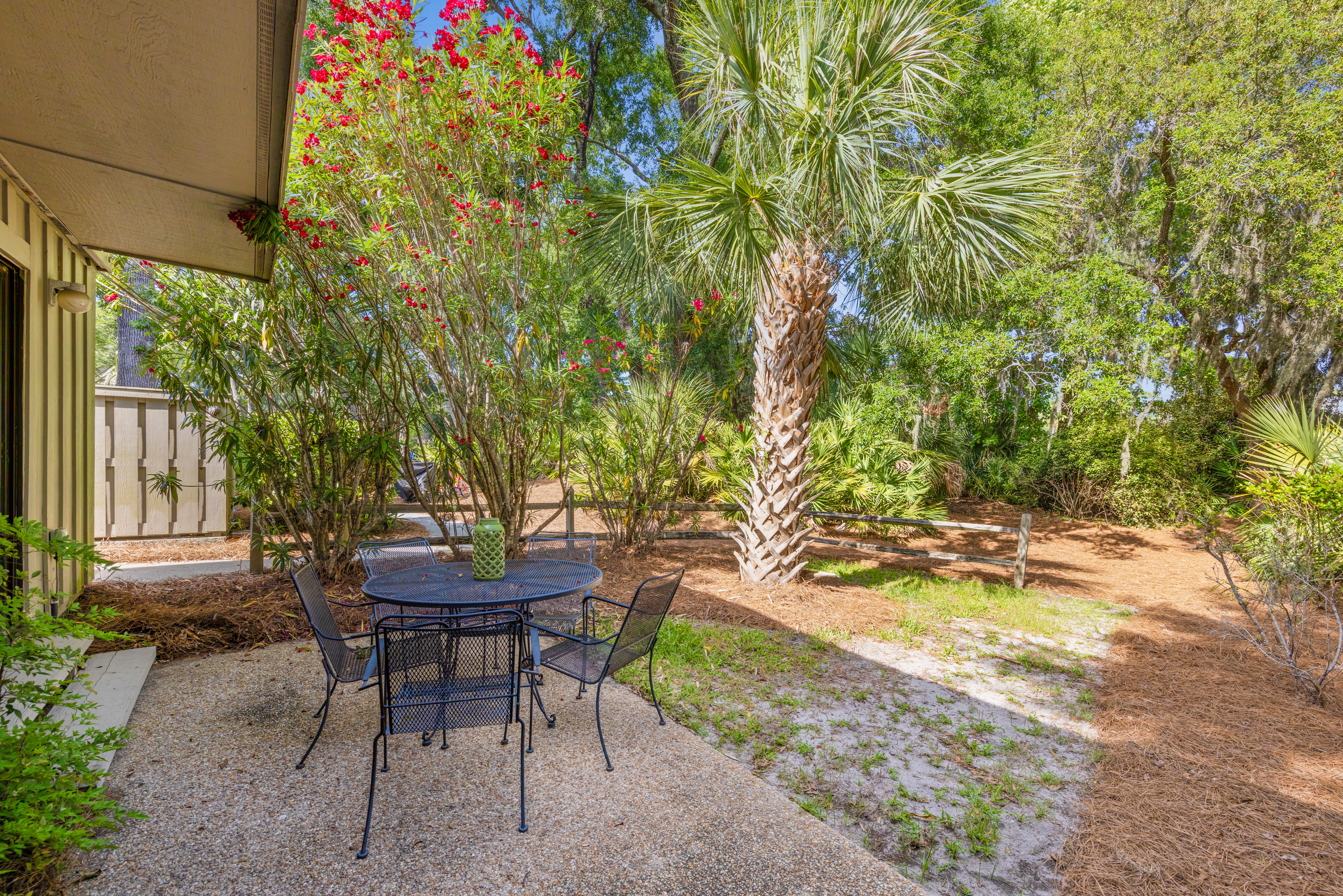 Tune In with the Nature