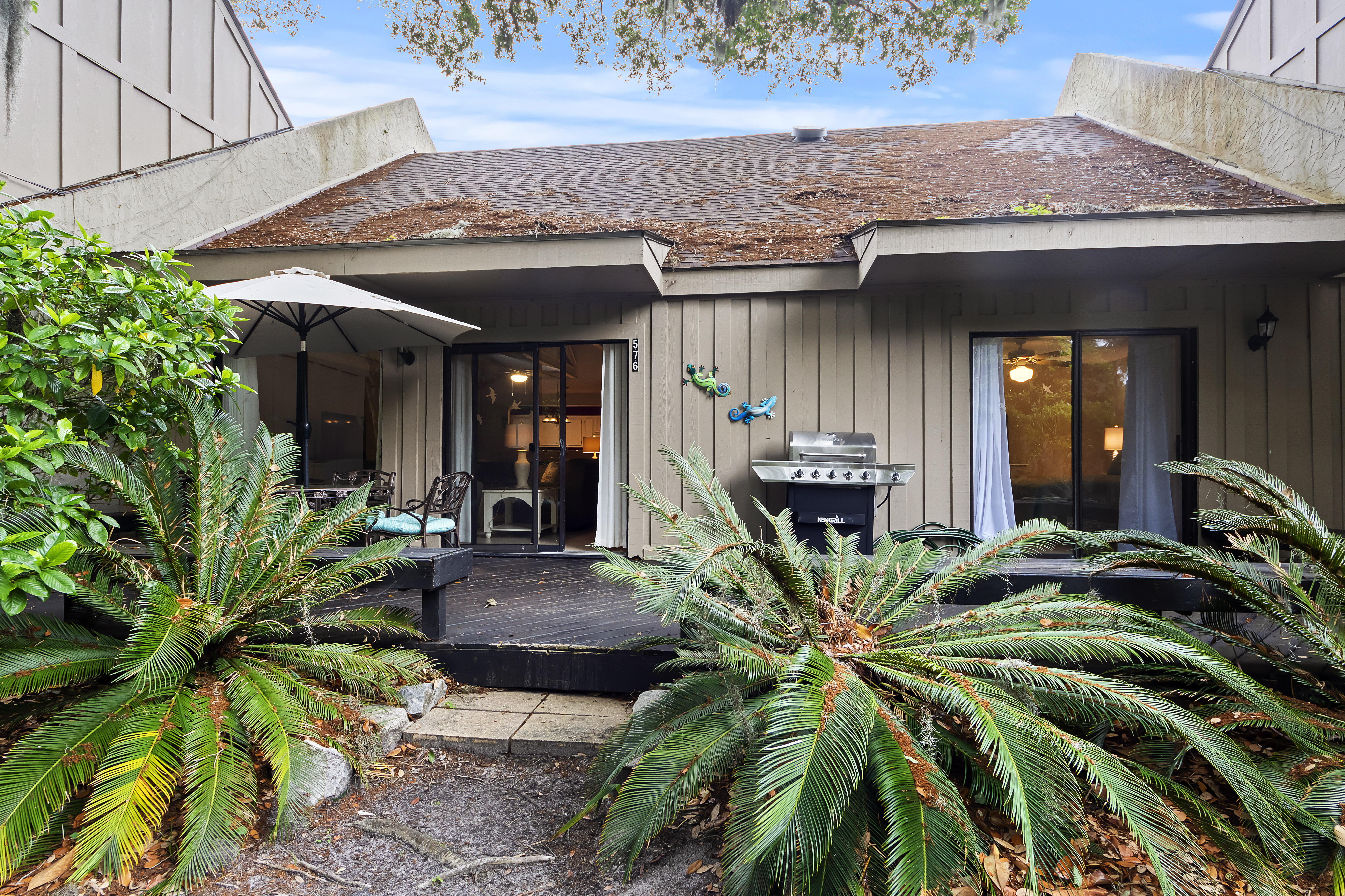 Connect with Nature of Our Island