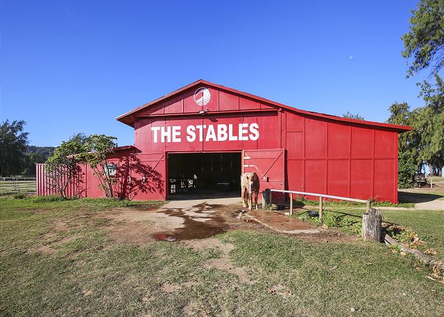 Horse Stables 