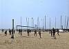 Beach Volleyball! 
(Balls usually avail. at Cafe El Palomar)