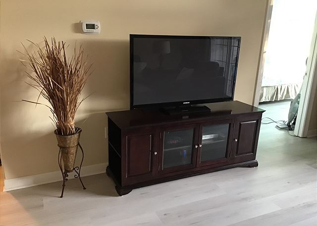 TV in Living Room
