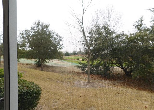 View from Screened Porch