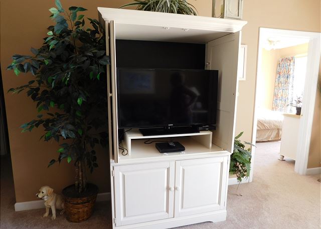 Living Room TV 