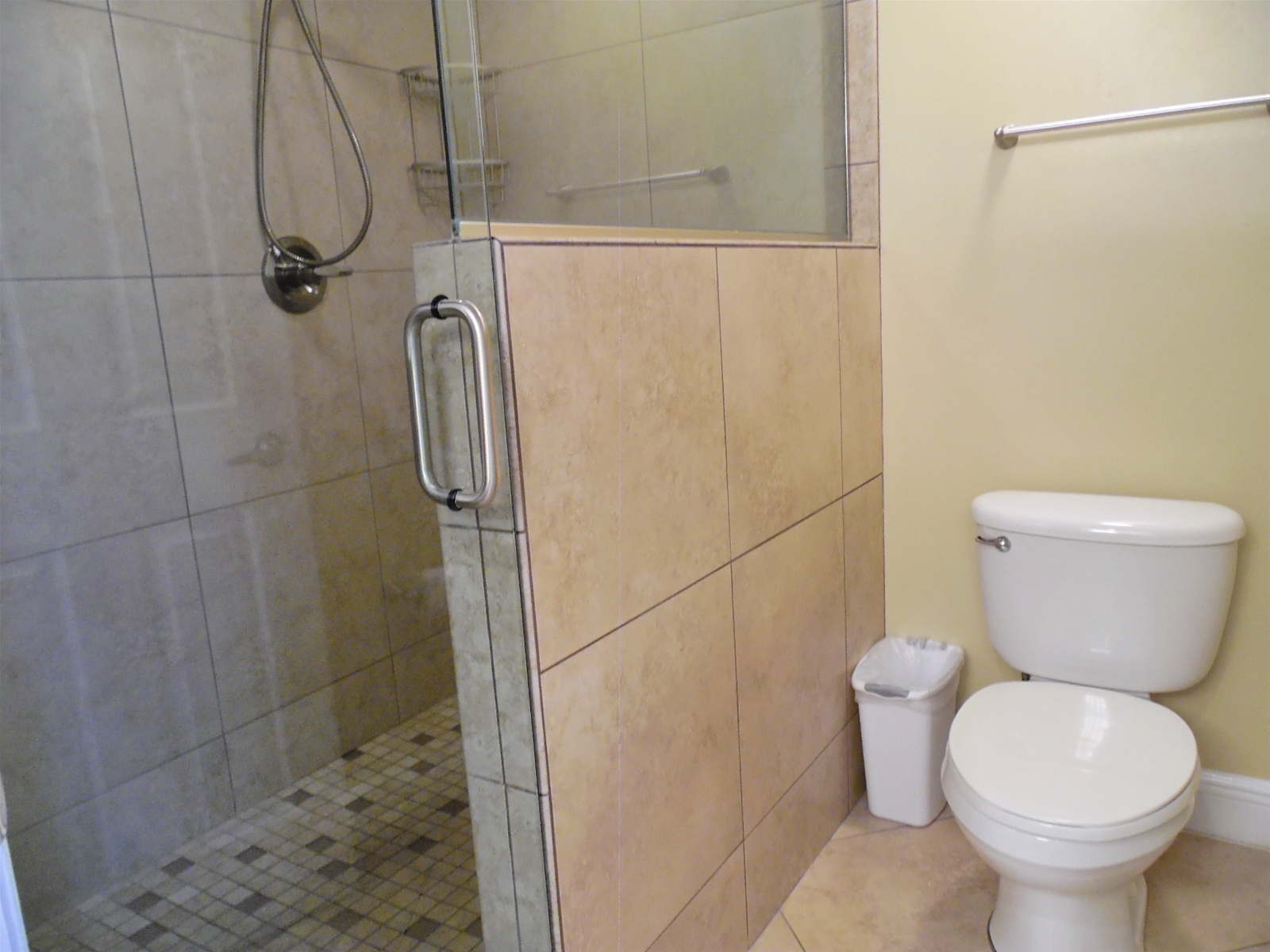 Master Bath Walk in Shower