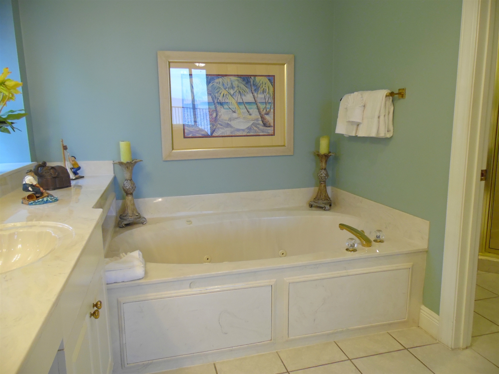 Master Bath Jacuzzi Tub