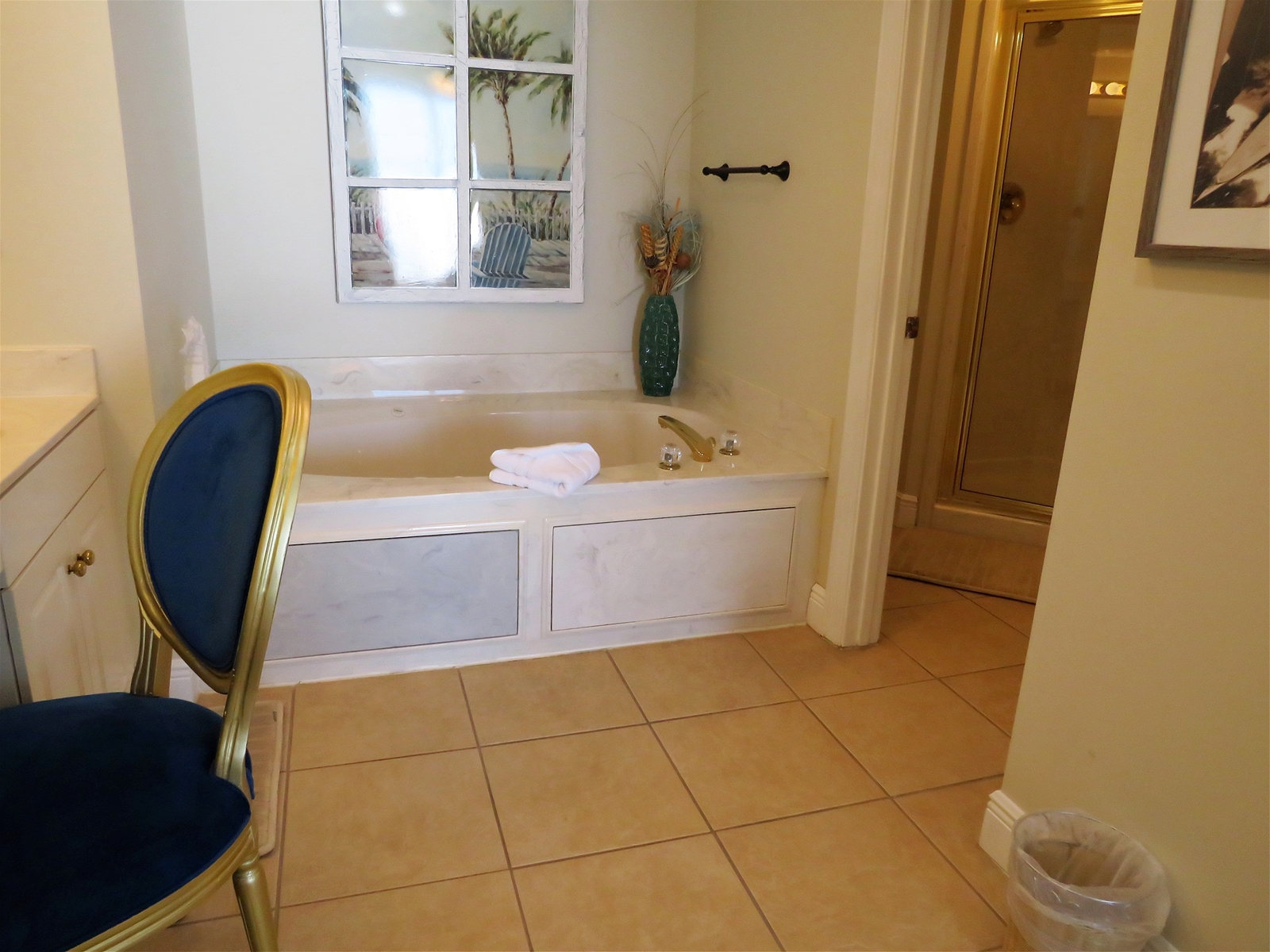 Master Bath Jacuzzi Tub