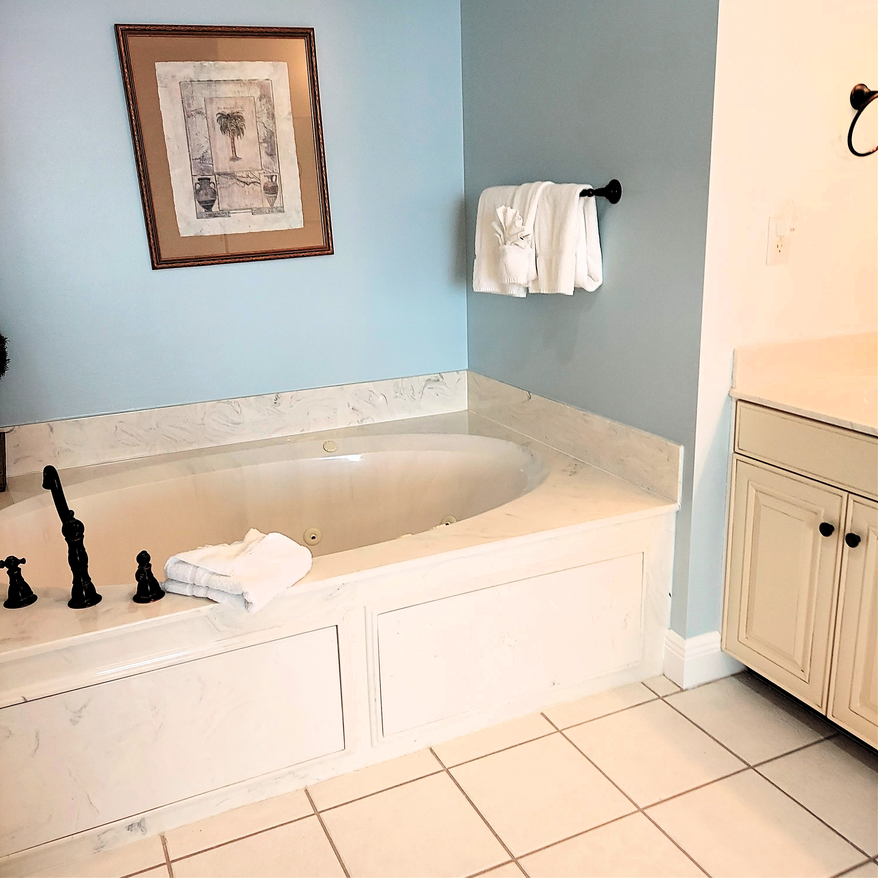 Master Bath Jacuzzi Tub